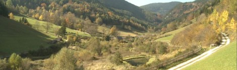 Marias Land – Fische aus Hochquellwasser