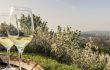 Weinfrühling im Weinland Niederösterreich