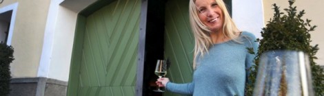 Niederösterreich – Kultur- und Weinfrühling