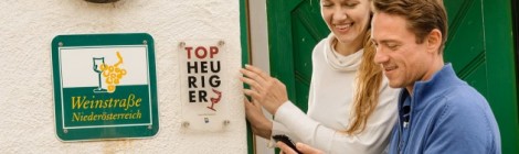 Niederösterreich – Veranstaltungskalender als App verfügbar