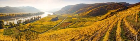 Niederösterreich, Wachau, Dürnstein, Ried Liebenberg, Ried Kaiserberg, Ried Frauengärten