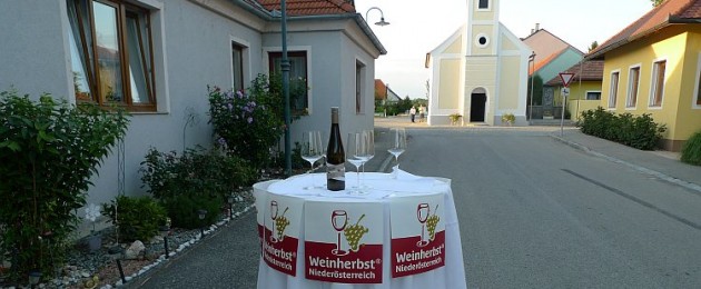 Start zum Weinherbst Niederösterreich in Mallon, Kirchberg am Wagram