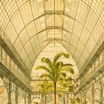 Palmenhaus, Schlosspark Schönbrunn, historische Innenansicht
