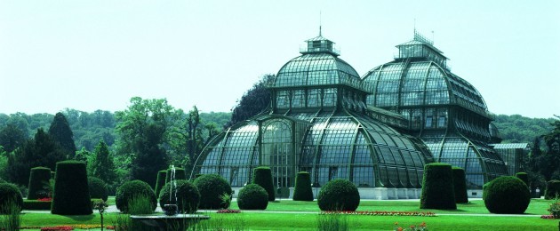 Palmenhaus Schönbrunn in neuem Glanz