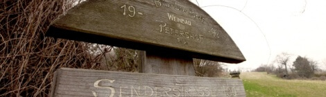 Weingut Christ – eigenes Bioweingut am Bisamberg