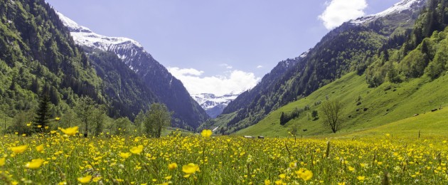 Rauris · Seidlwinkltal