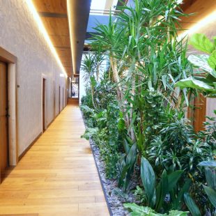 Scheiblhofer Wein-Wellness-Hotel „The Resort“ | Andau Burgenland | begrünter Mittelgang