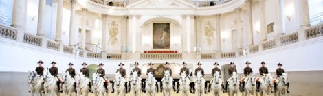 Spanische Hofreitschule Wien • Bereiter auf Schulhengsten