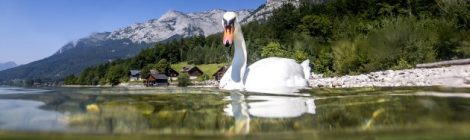 Grundlsee, Ausseerland | © Steiermark Tourismus / ikarus.cc