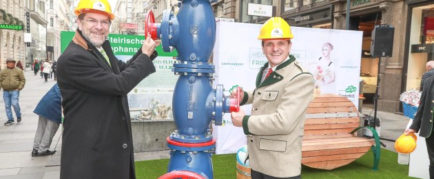 Steirer in Wien Heisse Quellen unter dem Stephansplatz