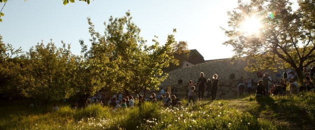 Struktur & Organismus IV