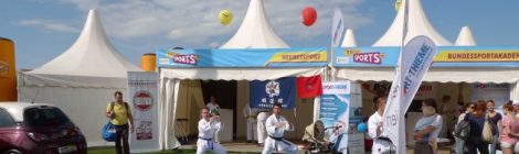 Das war der Tag des Sports 2015