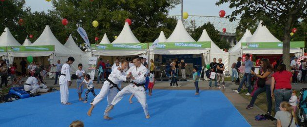 Das war der Tag des Sports 2016