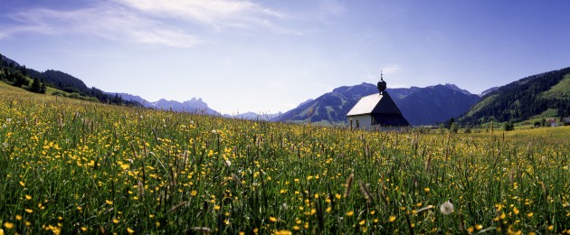 Landschaft, Tannheimer Tal, Tirol, Österreich