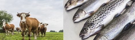 Vonatur – neue Eigenmarke von Transgourmet