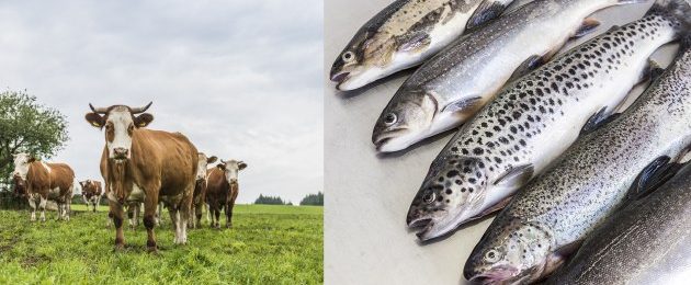 Vonatur – neue Eigenmarke von Transgourmet