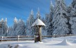 Winter Wald INNs Holz