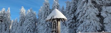 Winter Wald INNs Holz