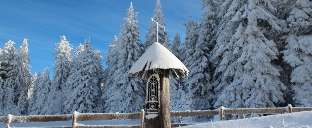 Winter Wald INNs Holz