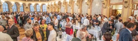 Steirische Riedenverkostung 2018 . Wien Palais Ferstl