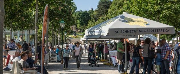 Wein im Park Baden | Weinfestival Thermenregion | Publikum