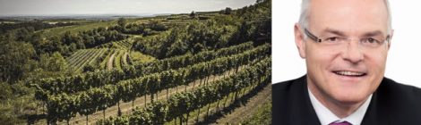 Weintaufe Langenlois 2018, 3553 Reith
