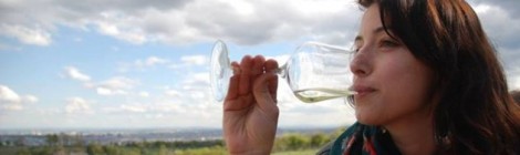 8. Wiener Weinwandertag
