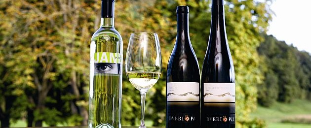Weingut Dveri-Pax in Slovenien
