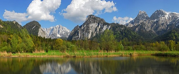 Gesaeueseeingang im Fruehling